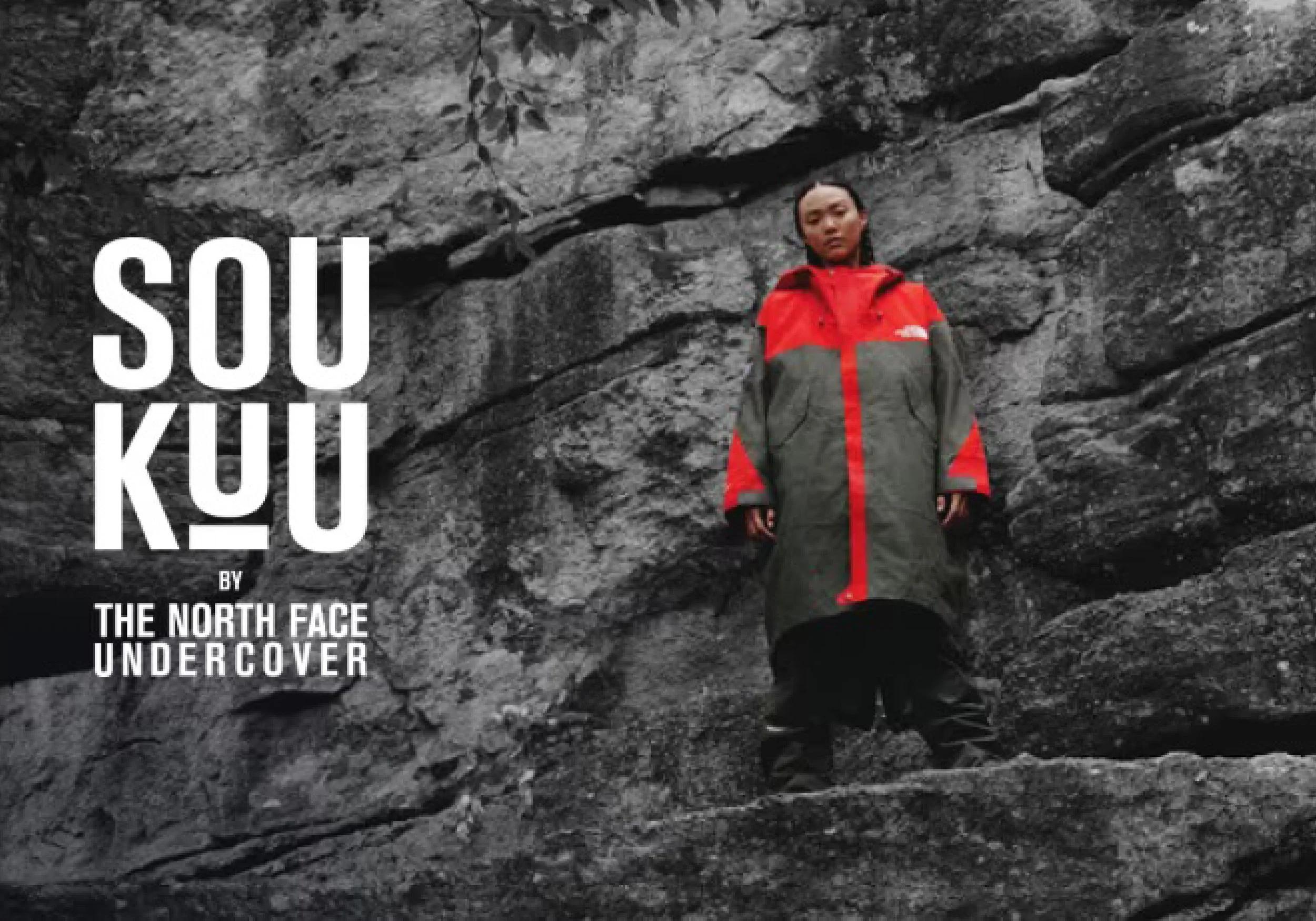 The north face japanese collection sales